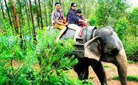 Honeymoon Tours Kerala image 1